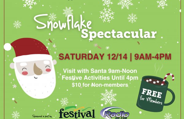 Snowflake Spectacular