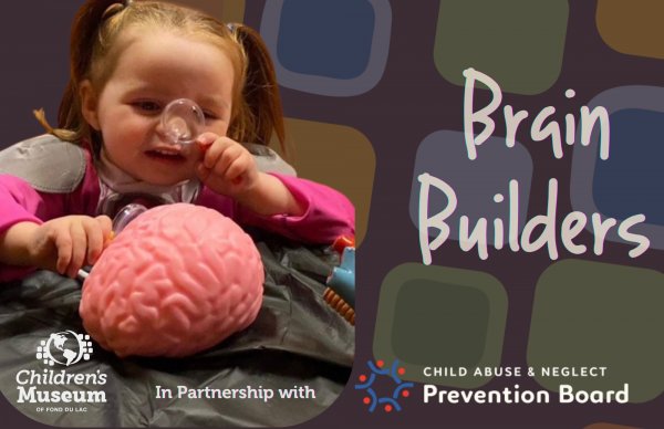 Brain Builders FREE Program